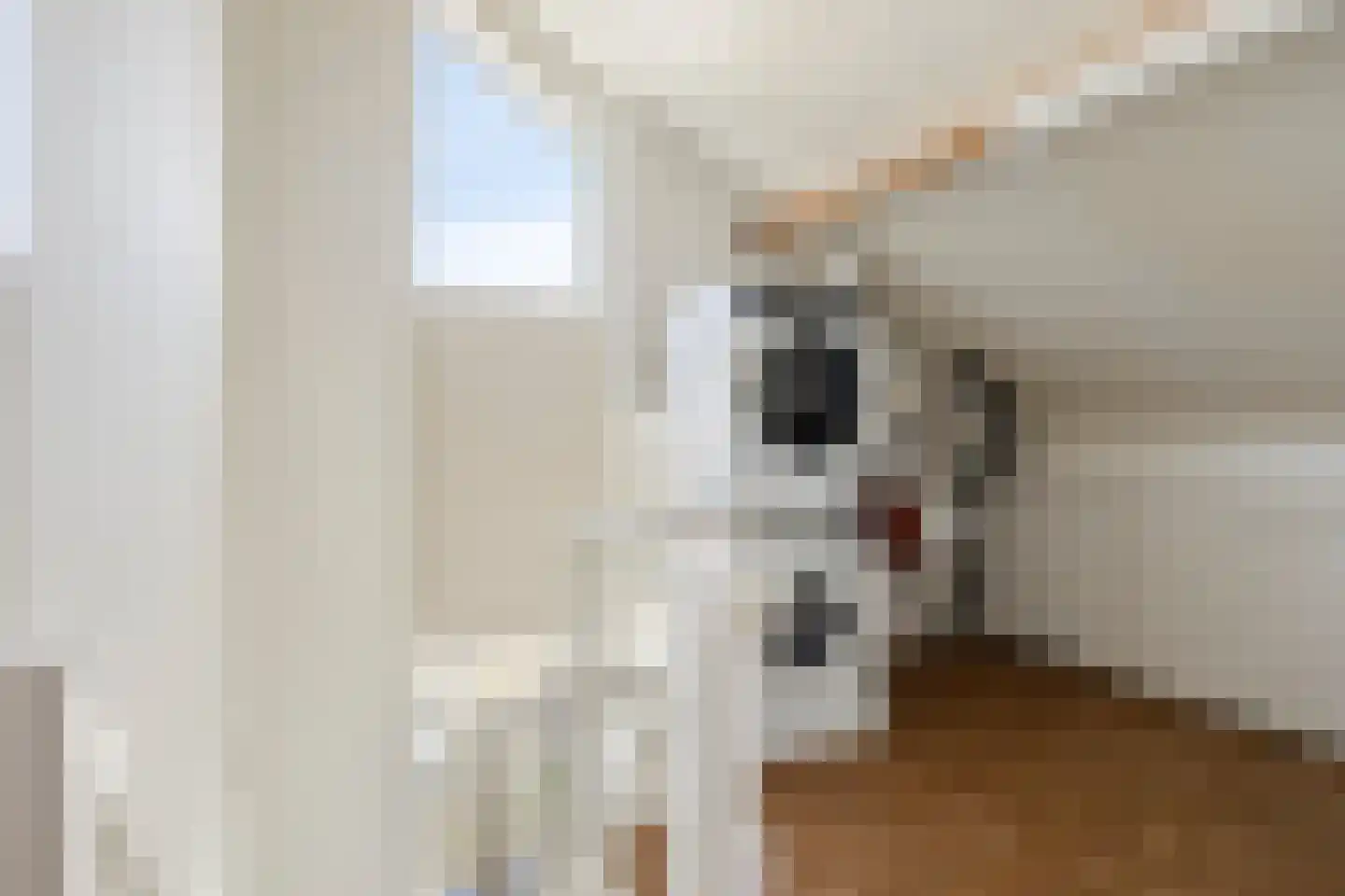 Weemselo 27 Losser thumbnail 33