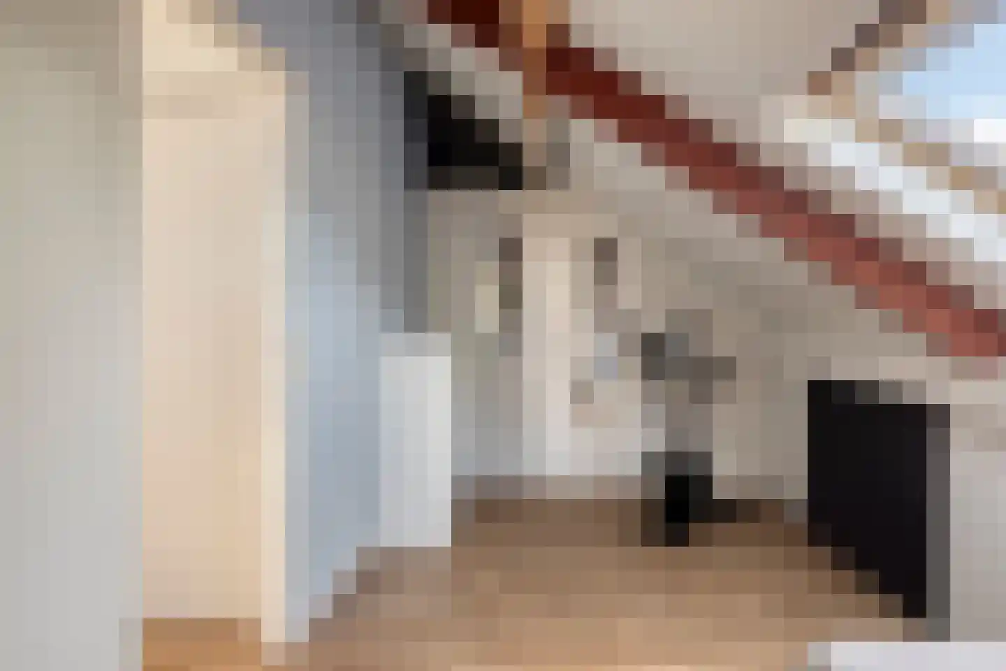 Weemselo 27 Losser thumbnail 35
