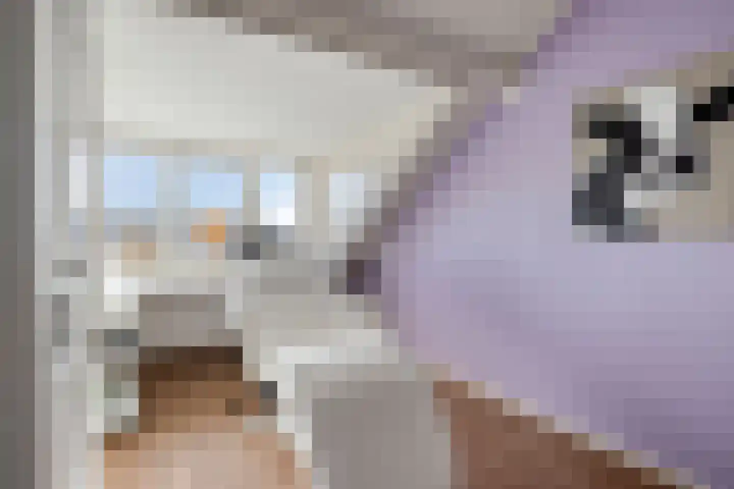 Weemselo 27 Losser thumbnail 36