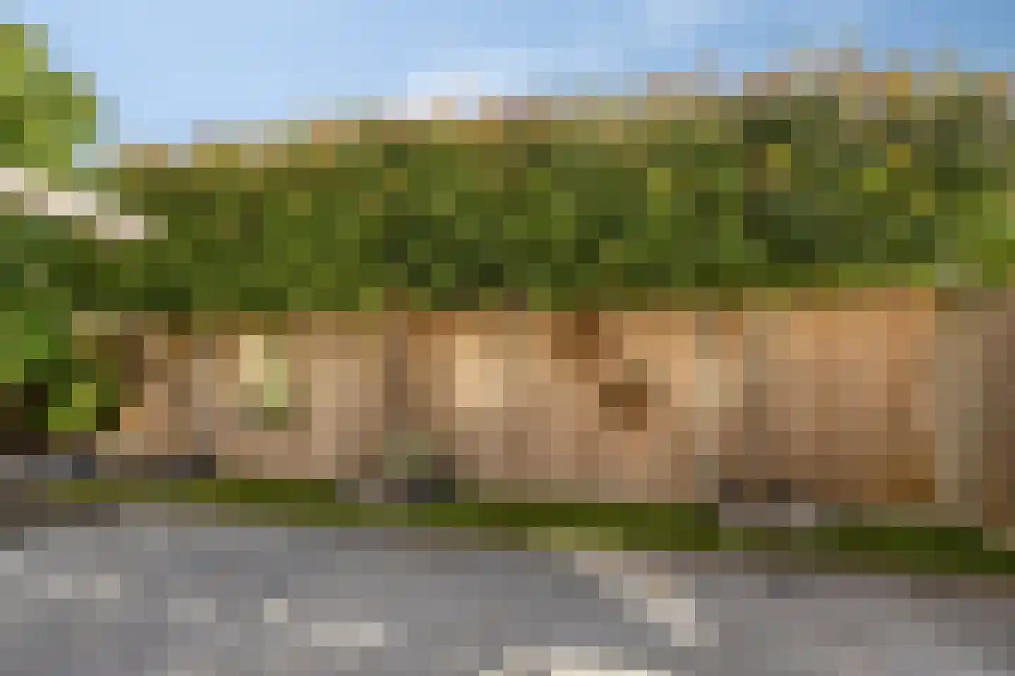 Weemselo 27 Losser thumbnail 39