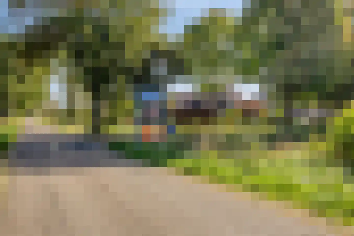 Weemselo 27 Losser thumbnail 44