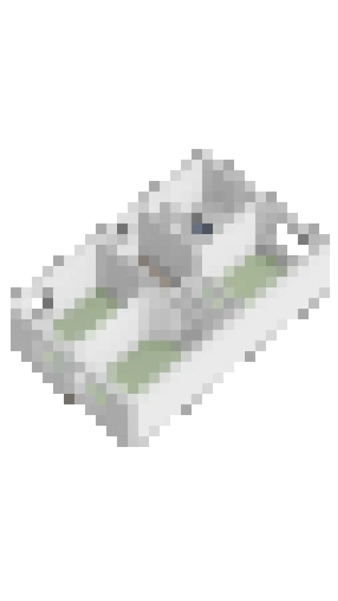 Weemselo 27 Losser thumbnail 52