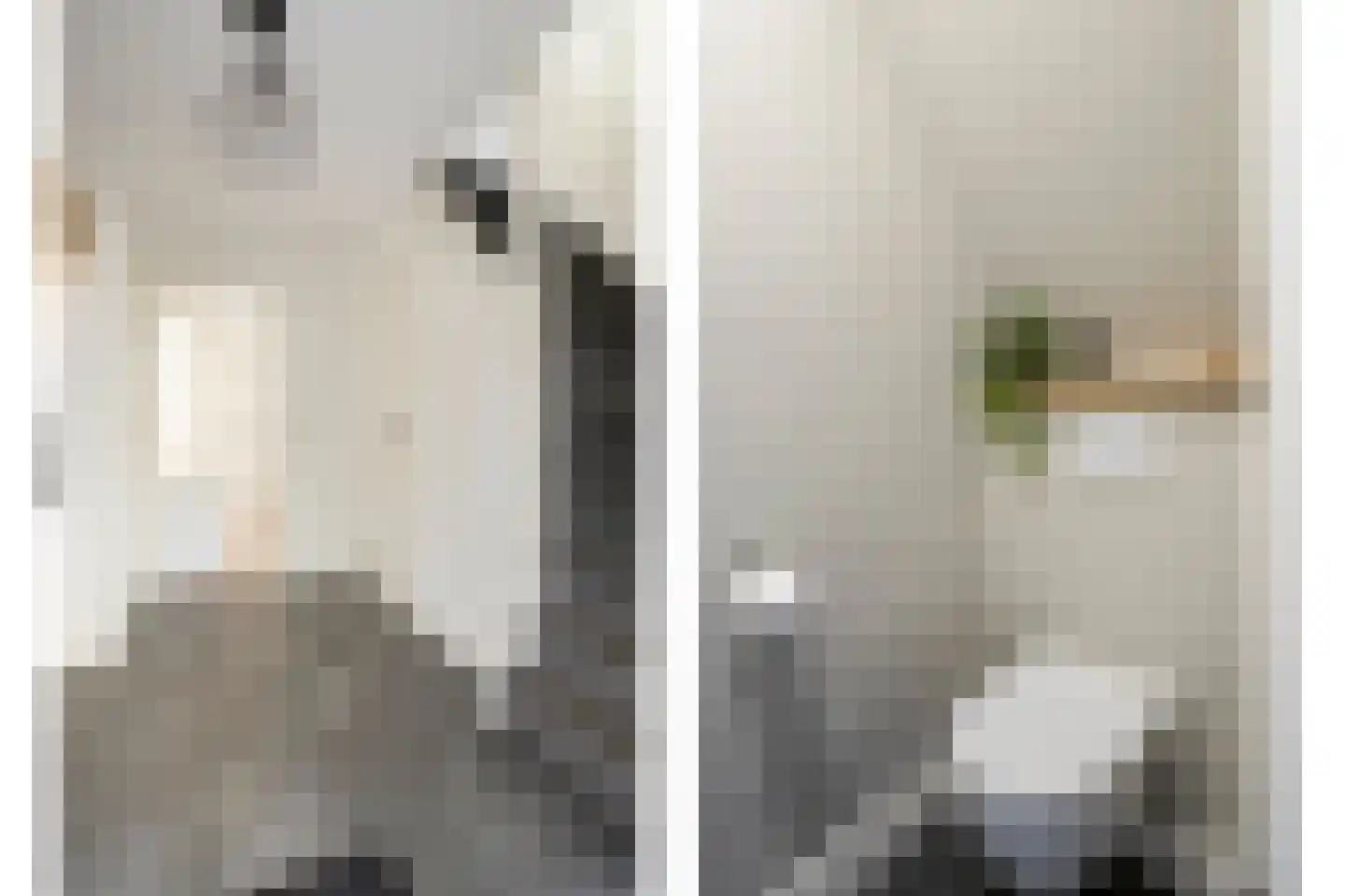 Weemselo 27 Losser thumbnail 8