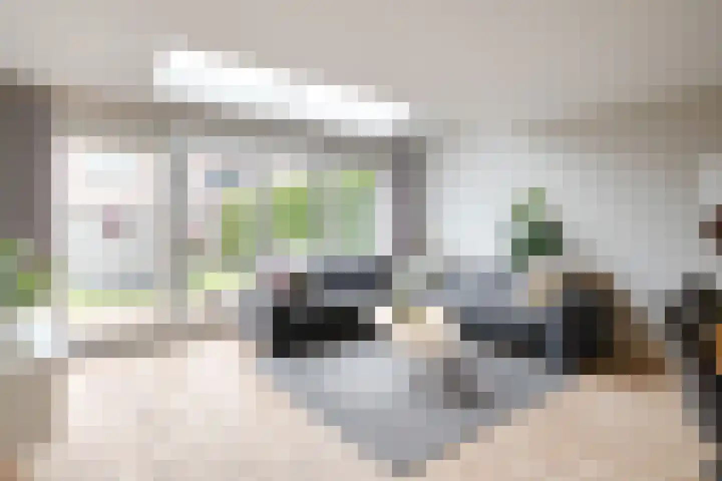 Weemselo 31 Losser thumbnail 13