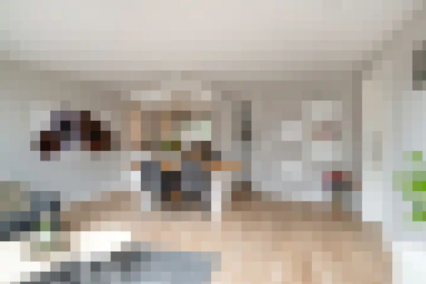 Weemselo 31 Losser thumbnail 14