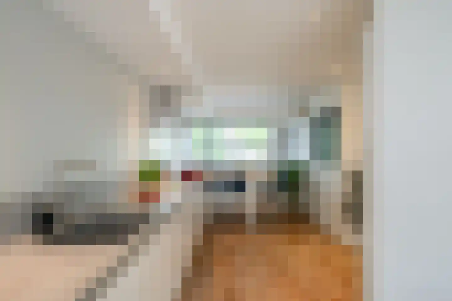 Weemselo 31 Losser thumbnail 17