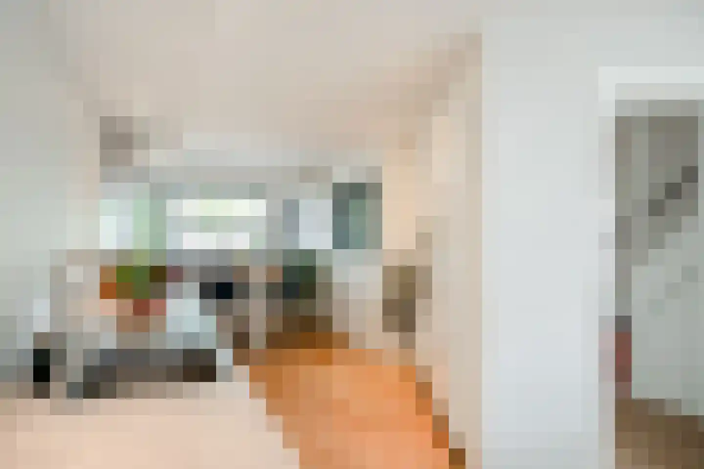 Weemselo 31 Losser thumbnail 18