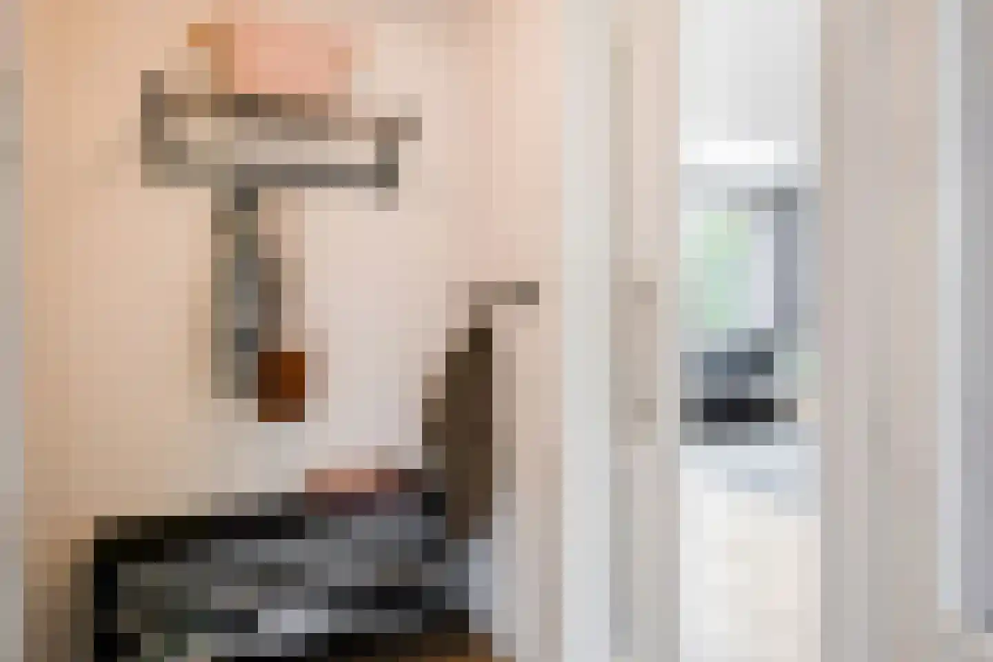 Weemselo 31 Losser thumbnail 21