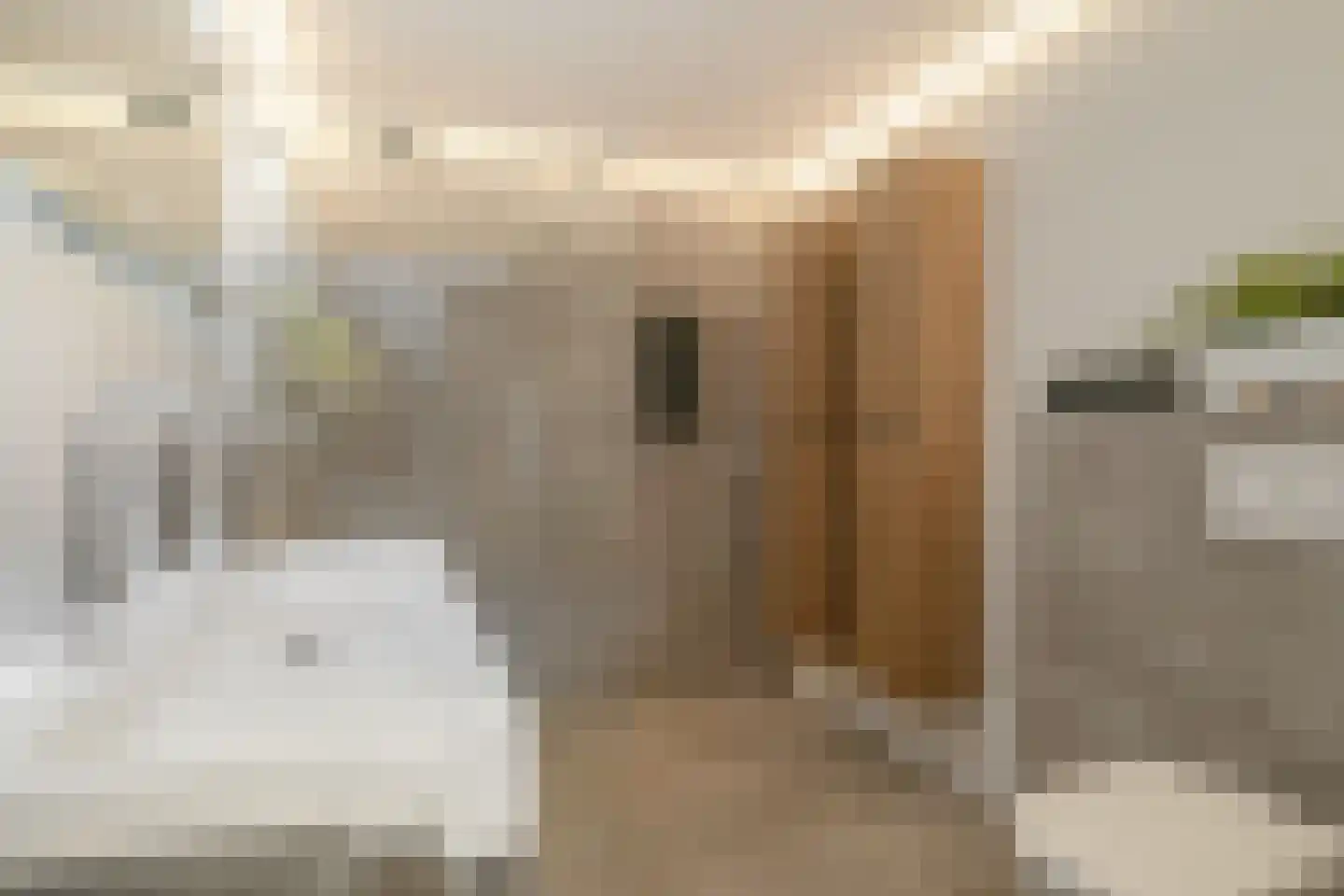 Weemselo 31 Losser thumbnail 32