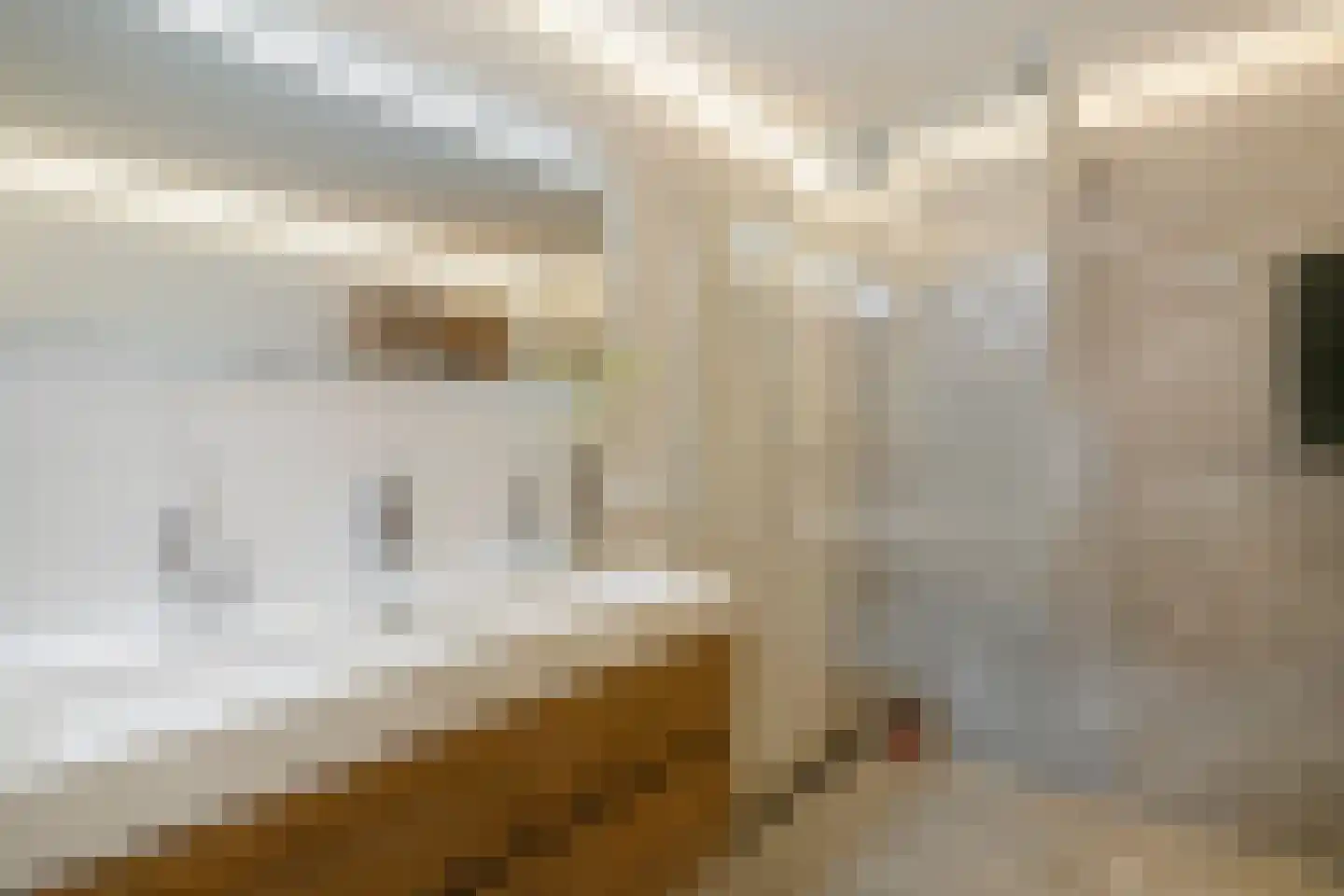 Weemselo 31 Losser thumbnail 33