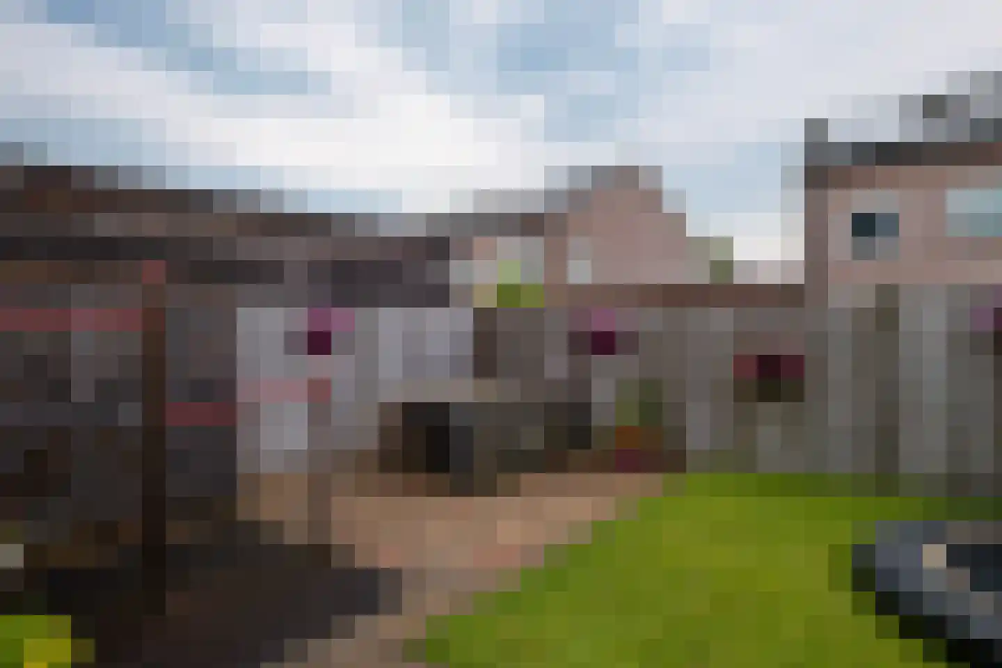 Weemselo 31 Losser thumbnail 41
