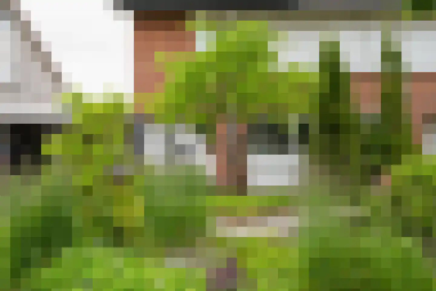 Weemselo 31 Losser thumbnail 5