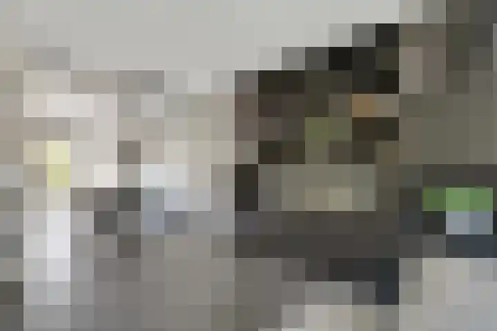 Weemselo 5 Losser thumbnail 11