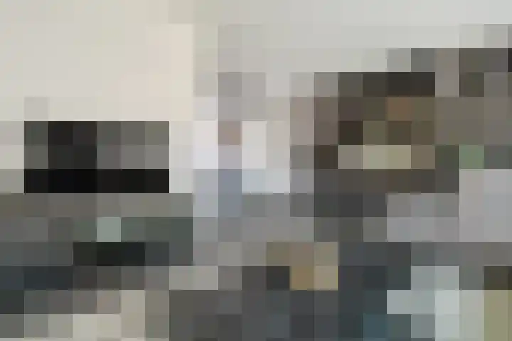 Weemselo 5 Losser thumbnail 12