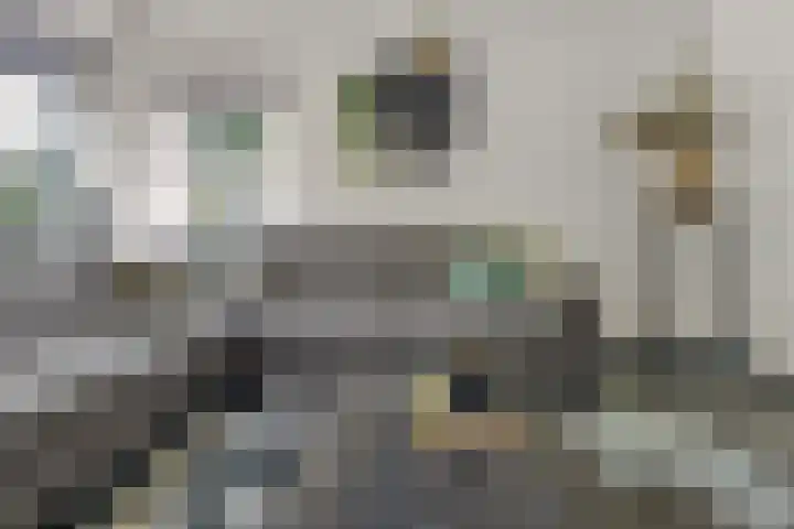 Weemselo 5 Losser thumbnail 13