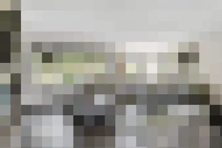 Weemselo 5 Losser thumbnail 14