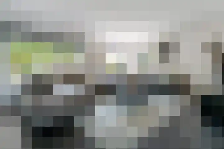 Weemselo 5 Losser thumbnail 15