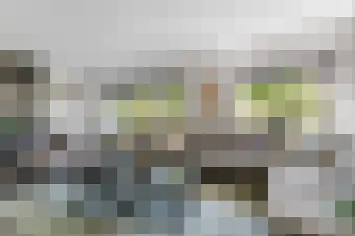 Weemselo 5 Losser thumbnail 16