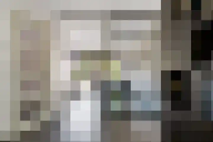 Weemselo 5 Losser thumbnail 17