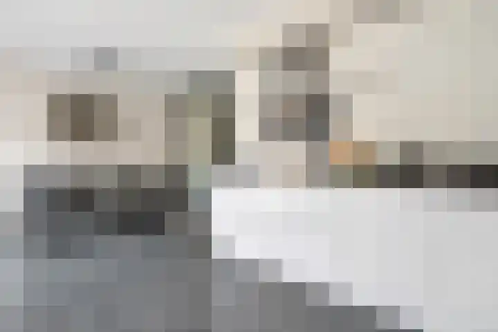Weemselo 5 Losser thumbnail 18