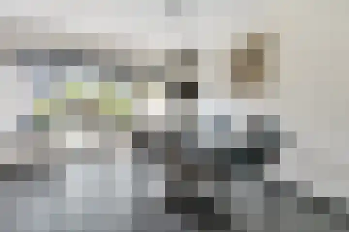 Weemselo 5 Losser thumbnail 19