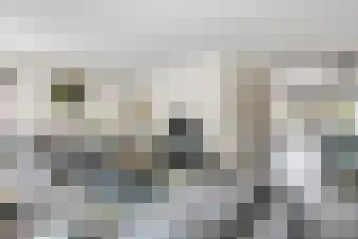 Weemselo 5 Losser foto 2