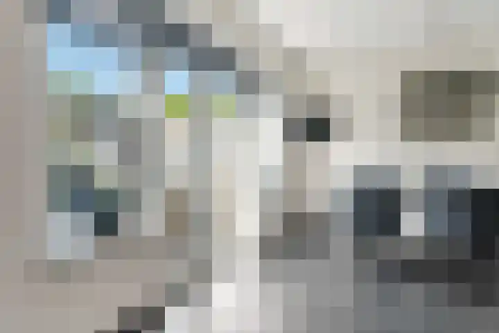 Weemselo 5 Losser thumbnail 20