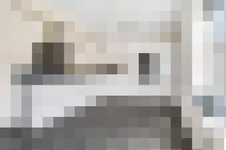 Weemselo 5 Losser thumbnail 21
