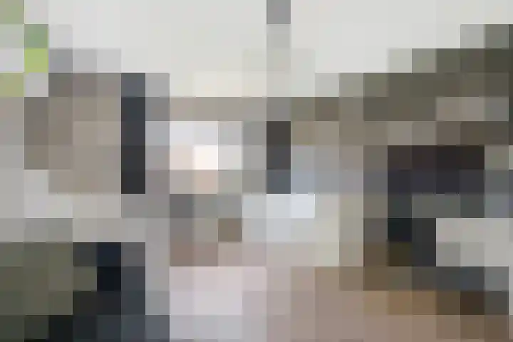 Weemselo 5 Losser thumbnail 27