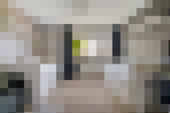 Weemselo 5 Losser thumbnail 28