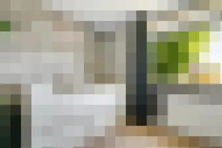 Weemselo 5 Losser thumbnail 29