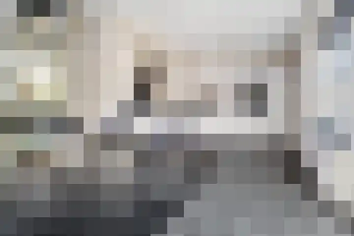 Weemselo 5 Losser foto 3