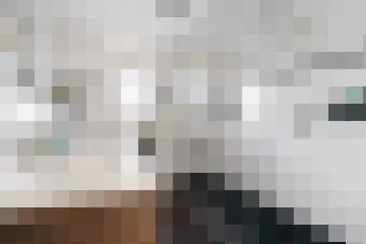 Weemselo 5 Losser thumbnail 30