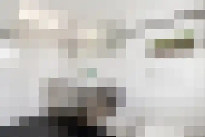 Weemselo 5 Losser thumbnail 32