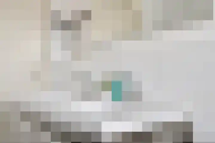 Weemselo 5 Losser thumbnail 34