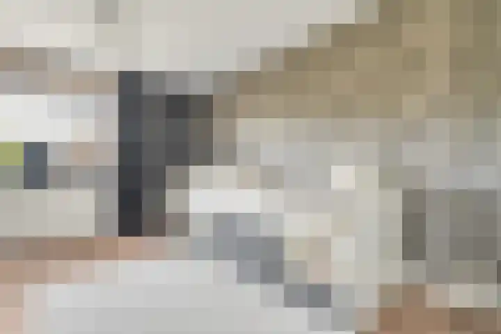 Weemselo 5 Losser thumbnail 35