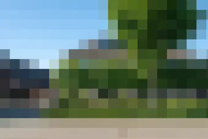 Weemselo 5 Losser thumbnail 4