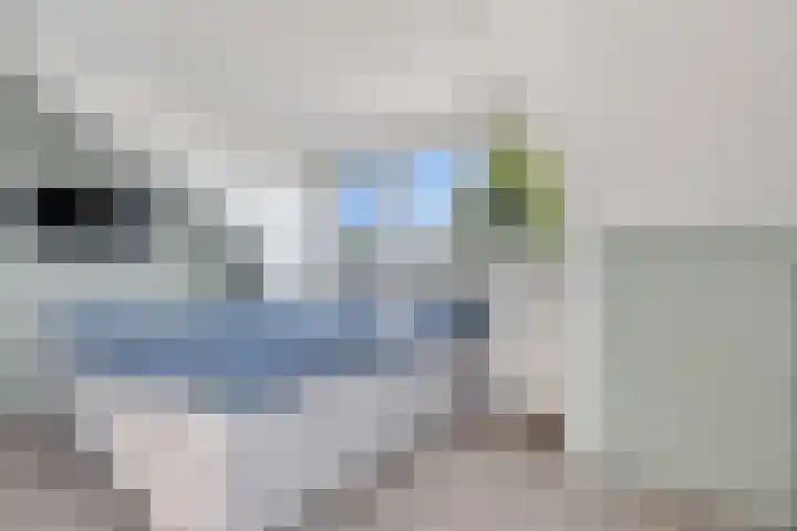 Weemselo 5 Losser thumbnail 43