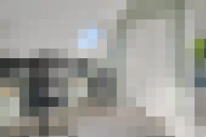 Weemselo 5 Losser thumbnail 45
