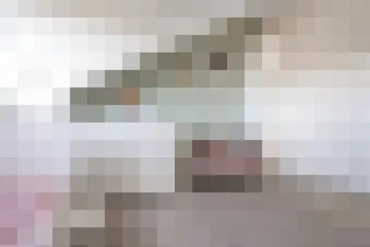 Weemselo 5 Losser thumbnail 46