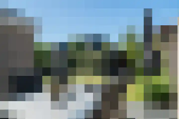 Weemselo 5 Losser thumbnail 48