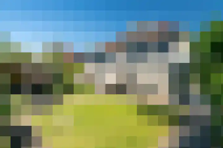 Weemselo 5 Losser thumbnail 49