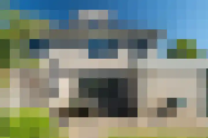 Weemselo 5 Losser thumbnail 50