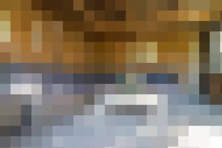 Weemselo 5 Losser thumbnail 51