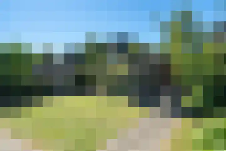 Weemselo 5 Losser thumbnail 52