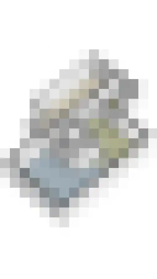 Weemselo 5 Losser thumbnail 56