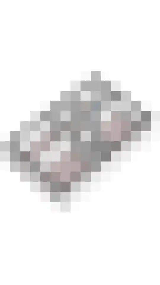 Weemselo 5 Losser thumbnail 57
