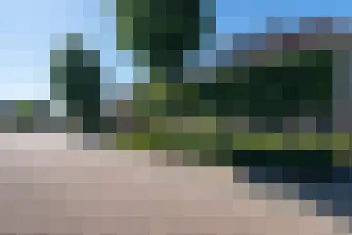 Weemselo 5 Losser thumbnail 6