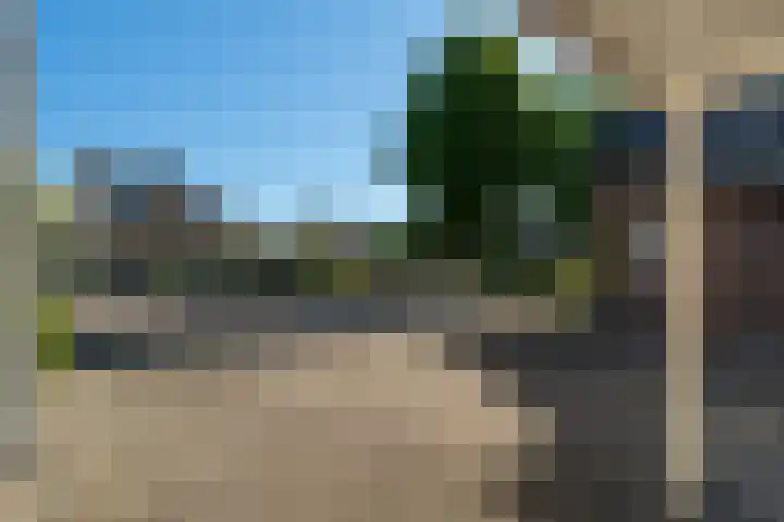Weemselo 5 Losser thumbnail 7