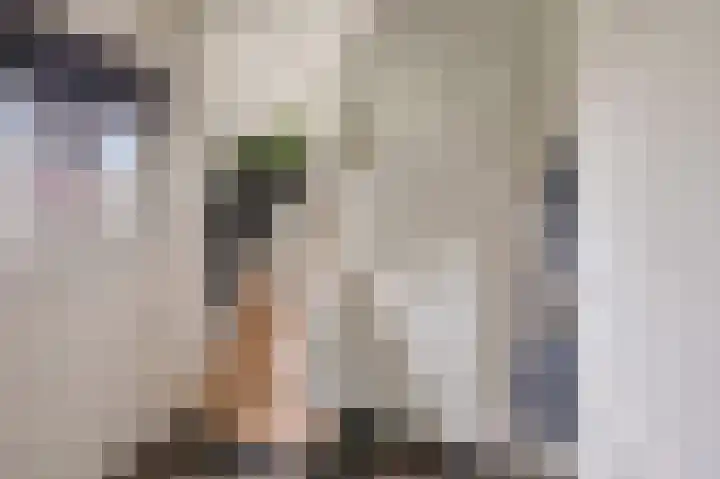 Weemstraat 33 Didam thumbnail 16
